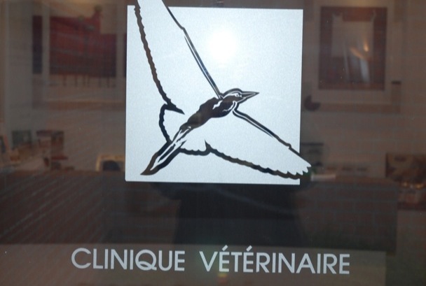 logo clinique du heron