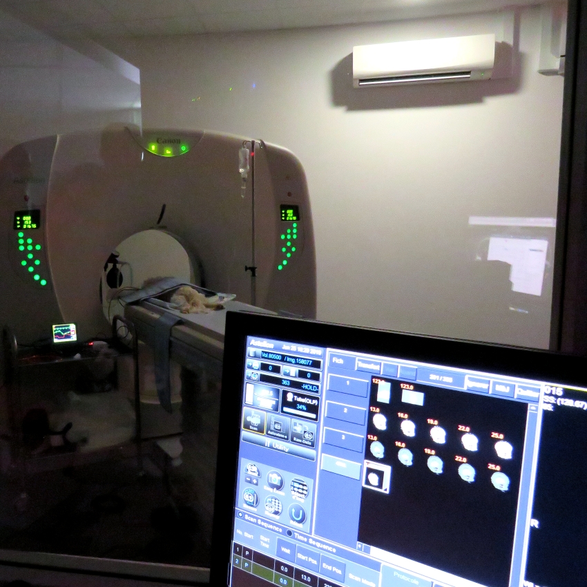clinique veterinaire chatellerault roc