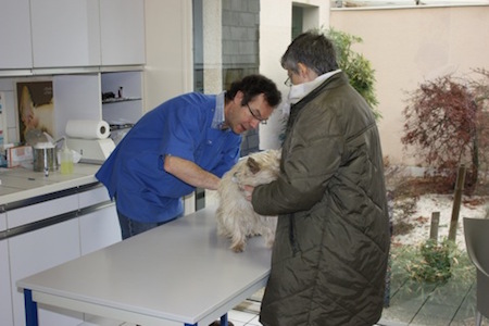 clinique veterinaire chatellerault roc