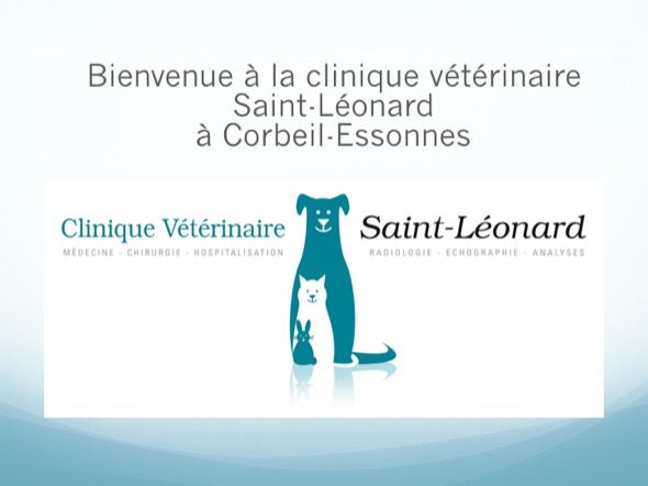 la clinique veterinaire saint leonard a corbeil essonnes