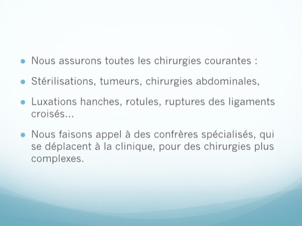 la clinique veterinaire saint leonard a corbeil essonnes
